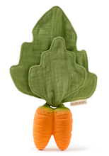 Load image into Gallery viewer, Oli &amp; Carol Cathy The Carrot
