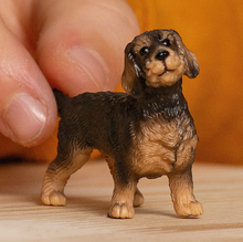 Load image into Gallery viewer, Schleich Wire Haired Dachshund
