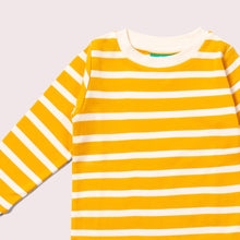 Load image into Gallery viewer, Little Green Radicals Gold Striped Long Sleeve T-Shirt
