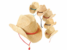 Load image into Gallery viewer, Dorfman Pony Cowgirl Hat One Size

