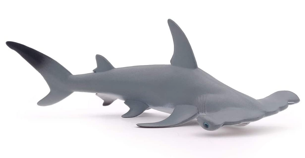 Hammerhead Shark