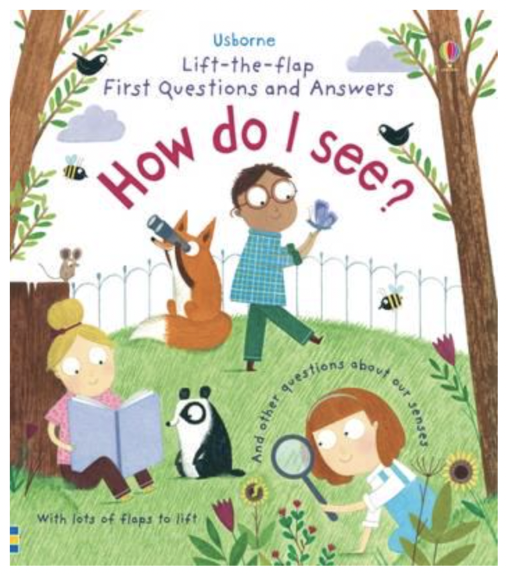 Usborne Lift The Flap How Do I See Hardcover Book