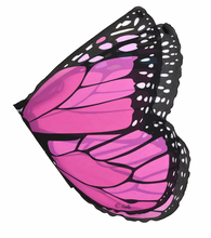 Load image into Gallery viewer, Douglas Pink Monarch Wings
