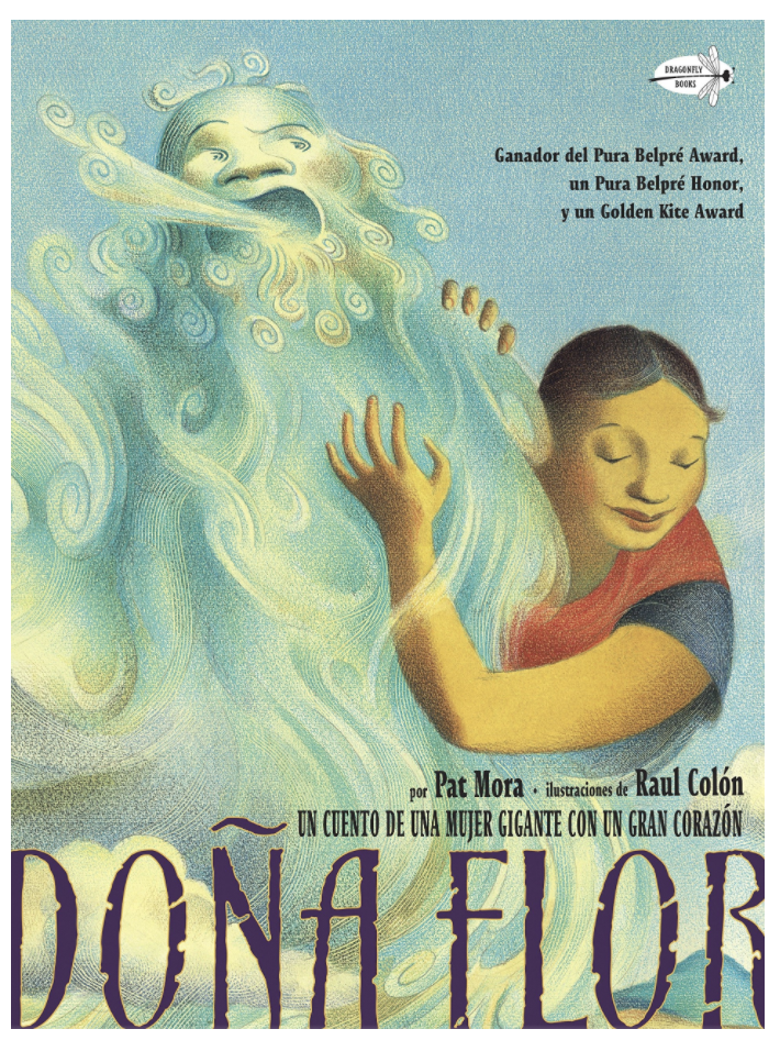 Doña Flor Paperback