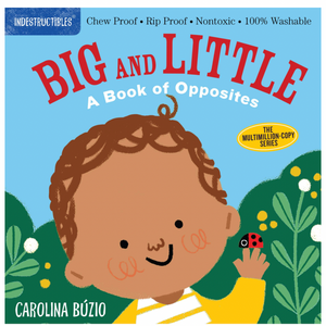 Indestructibles Big And Little A Book Of Opposites Book