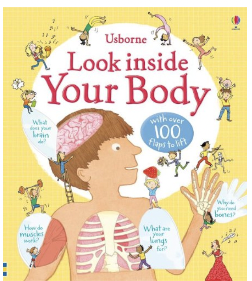 Usborne Look Inside Your Body Hardcover Book