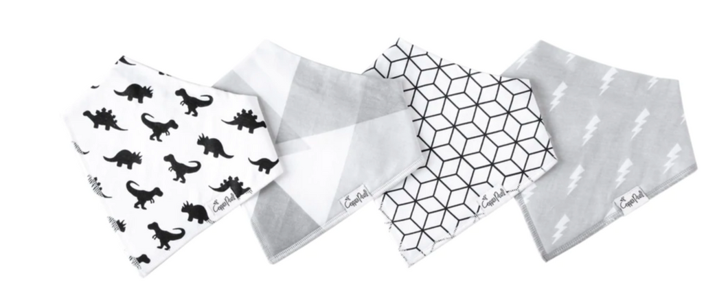 Copper Pearl Bandana Bibs Wild Set (4 Pack)