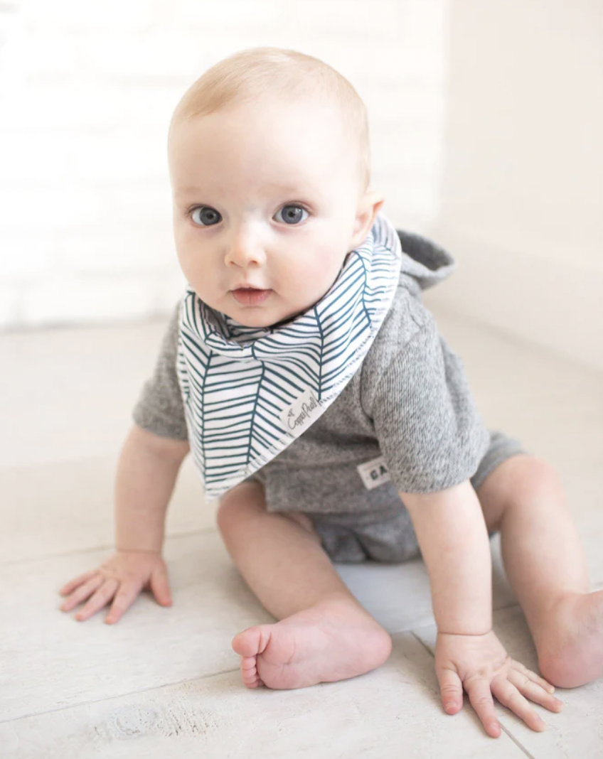 Copper Pearl Bandana Bibs 4-Pack Set Cruise