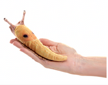 Load image into Gallery viewer, Folkmanis Mini Banana Slug
