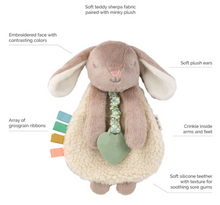 Load image into Gallery viewer, Itzy Ritzy Taupe Bunny Friends Lovely Plush
