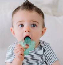 Load image into Gallery viewer, Itzy Ritzy Cutie Coolers Water Filled Teethers 3 Pack Cactus
