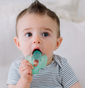 Itzy Ritzy Cutie Coolers Water Filled Teethers 3 Pack Cactus