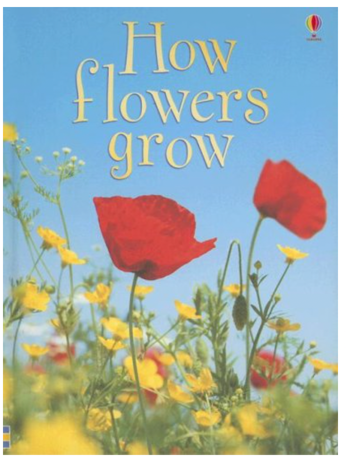 Usborne How Flowers Grow Silver Moon Kids