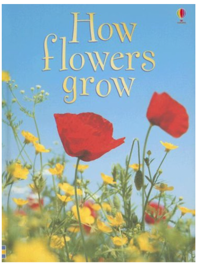 Usborne How Flowers Grow