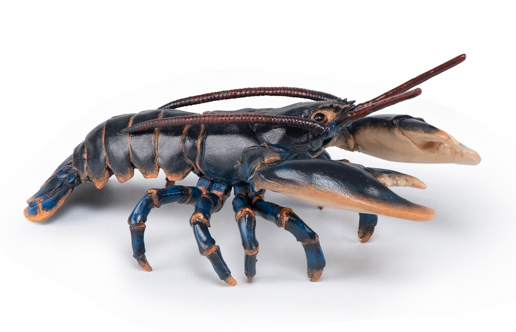 Papo France Lobster