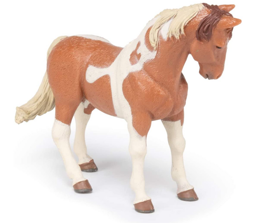 Papo Pinto Mare