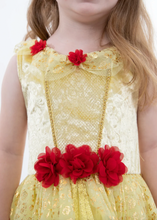 Load image into Gallery viewer, Little Adventures Yellow Beauty Party Dress
