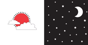From Day to Night Board Book